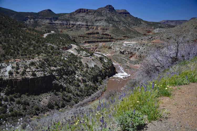 salt river canyon